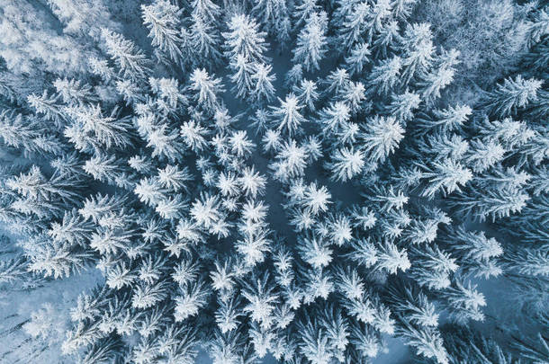 空中俯瞰着覆盖着积雪的冬季森林.无人驾驶摄影。全景图像美丽的霜冻树，圣诞<strong>佳节</strong>，新年快乐.