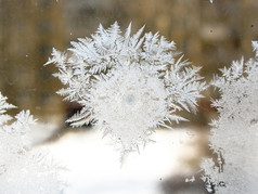 雪花飞扬