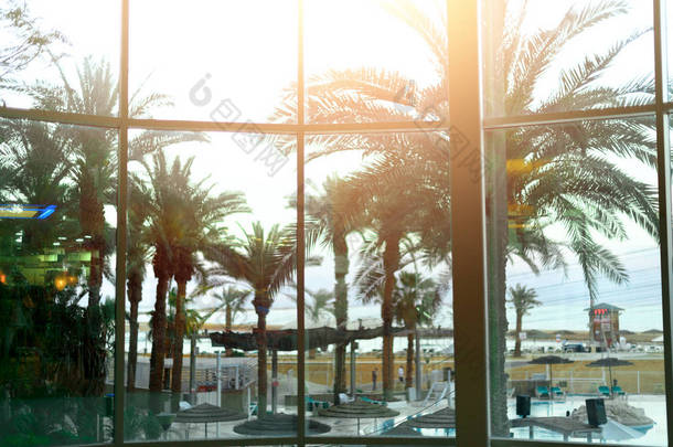 热带自然从旅馆看法。绿色棕榈树背景。阳<strong>光照</strong>射<strong>效果</strong>和阳光散景。夏天、假日和旅行概念以拷贝空间.