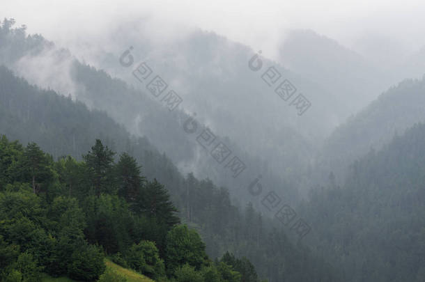 位于塞尔维亚 Zaovine 的塔拉国家公园阴雨天气的明亮朦胧的绿色山脉剪影
