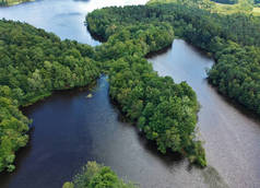 绿色森林、大两湖、水波皱纹的鸟瞰图.