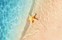 海星在夏天的海滩上。夏季背景。热带沙滩