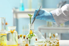 科学家在实验室工作与植物