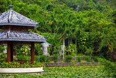 在池塘里，点缀着睡莲的中式露台。中国海南亚龙湾热带天堂森林公园.