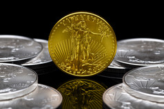 2011 美国鹰扬金币流通的硬币