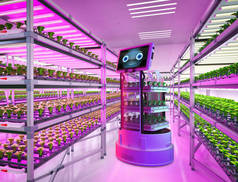轻型生长室内农场3D渲染机器人助手的农业技术