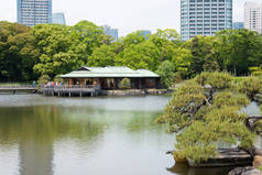 日本东京-日本东京Hamarikyu花园。在17世纪，它被改造成了Shogun Tokugawa家族别墅所在地的公共花园公园.