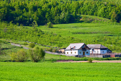 农村景观与麦田和房子