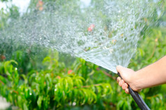 在花园里用喷雾软管浇水