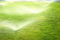 在绿色的草坪上花园洒水