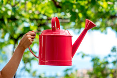 Holding a pink watering can