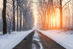 农村公路的冬天的早晨