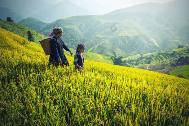 母亲和女儿<strong>苗族</strong>，工作在越南稻田上梯田在多雨的季节