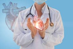 医生心脏病专家表明人类的心 .