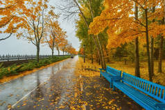秋园长凳, 多雨质感背景。秋天公园里的雨, 水滴, 风.