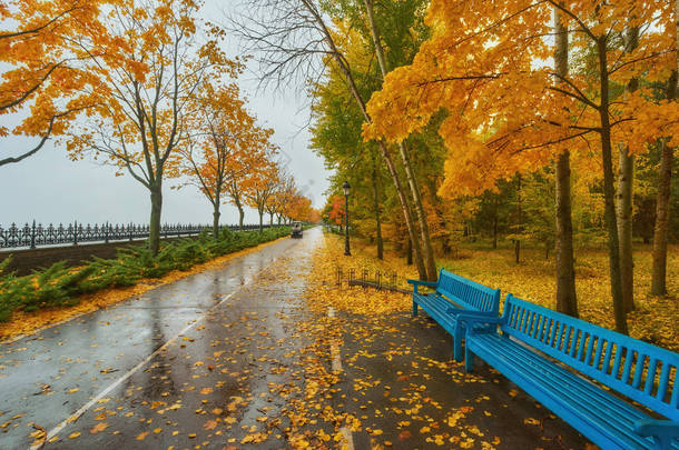 秋园长凳, 多雨<strong>质感背景</strong>。秋天公园里的雨, 水滴, 风.