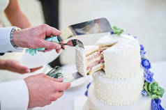 新娘和新郎切白色的婚礼蛋糕装饰蓝色的花