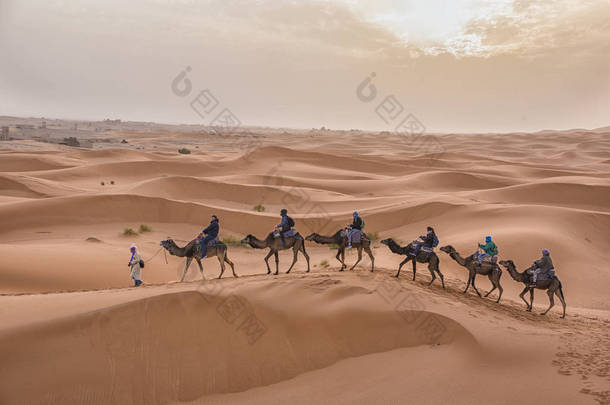大篷车骆驼带着游客进入撒哈拉沙漠, 靠近摩洛哥梅尔祖加--被称为 Erg Chebbi 的门户的小镇--城北的大片沙丘。<strong>一日游</strong>冒险.