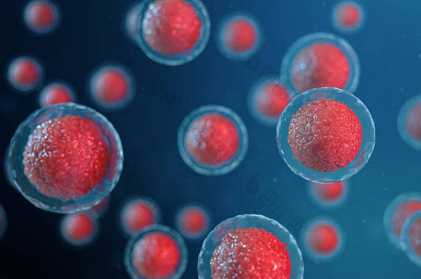 3d 显示卵细胞胚胎。中心有红色细胞核的胚胎细胞。人或<strong>动物</strong>卵细胞。医学科学理念。显微镜下细胞水平生物的发育.