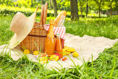 威克篮子与美味的食物和饮料浪漫野餐在公园
