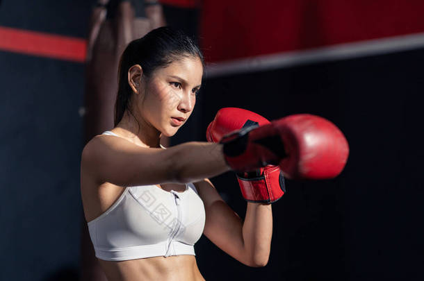亚洲漂亮女运动员的形象是戴拳击手套，练习打拳，以保持肌肉健康。积极的拳击手锻炼，然后在健身馆看相机