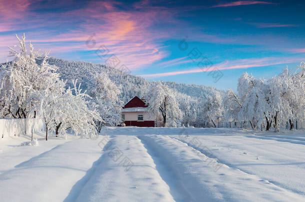 喀尔巴阡山村灿烂的冬日日出.大雪过后,花园里阳光明媚的户<strong>外景</strong>致,欢度新年.艺术风格经处理后的照片.