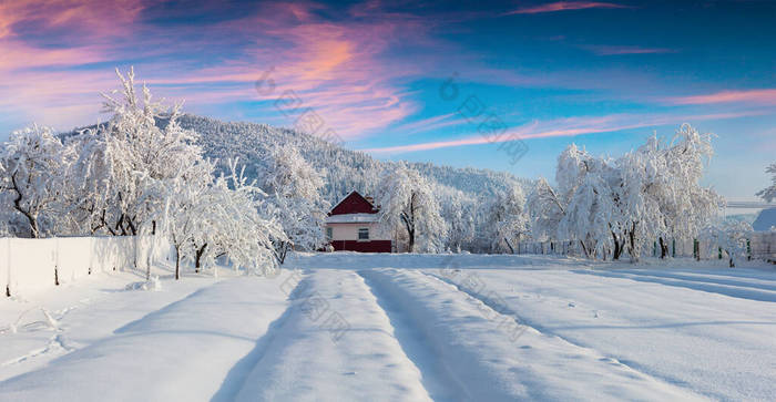 喀尔巴阡山村灿烂的冬日日出.大雪过后,花园里阳光明媚的户外景致,欢度新年.艺术风格经处理后的照片.