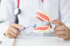 牙科医生证明人工下巴清洁牙齿是正确的.口腔卫生概念
