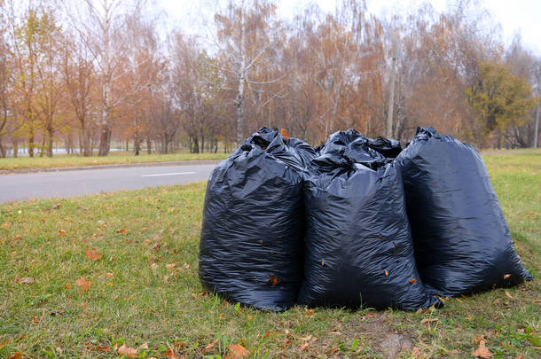 装满秋天叶子的黑色塑料袋。大的黑色塑料垃圾袋,落干的叶子矗立在草地上.季节性地清理城市街道上的落叶。清洁服务.