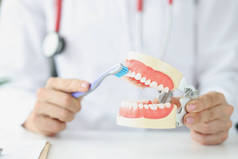 牙科医生展示如何用牙刷在人造牙龈上刷牙