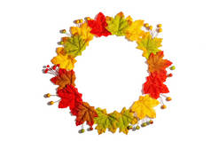 秋天的构图,孤立在白色背景上.一种花环，由五彩缤纷的枫叶和浆果制成，平坦的下垂