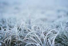 Winter morning frost on grass in meadow field. Close up ice on grass in field. Cold ice in winter se