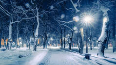 冬夜公园，圣诞装饰品，灯火通明，铺满了雪和树木.