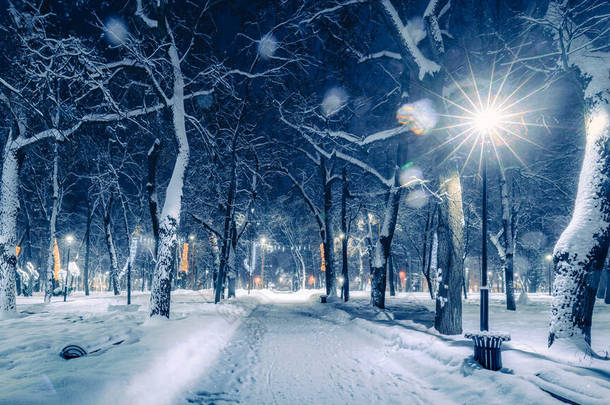 冬夜公园，圣诞装饰品，<strong>灯火通明</strong>，铺满了雪和树木.