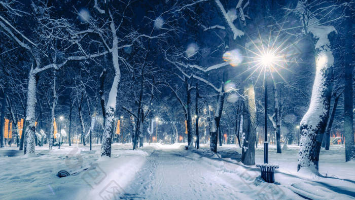 冬夜公园圣诞装饰品灯火通明铺满了雪和树木图片-包图网企业站