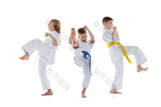一群孩子，男孩，<strong>跆拳道</strong>运动员穿着渡渡鸟训练在一起被隔离在白色的<strong>背景</strong>下。体育、武术的概念