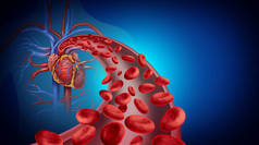 心脏血液循环和心血管系统健康标志，红血球流经人类循环系统的血管，作为心脏学的标志，带有三维图解元素.