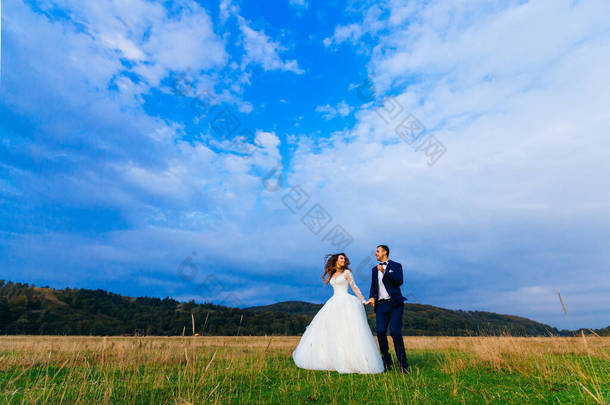 穿着节日服装的新婚夫妇手牵手，在森林附近的草坪上<strong>玩乐</strong>