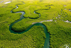 生态系统与健康环境。概念和自然背景。热带雨林。空中俯瞰.