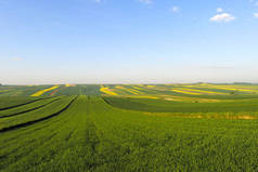 美丽的乡村风景，阳光普照的波兰耕地