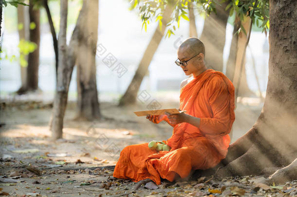 泰籍、缅甸籍或柬埔寨籍佛教僧人坐在树下佛教学校寺院读书和学习佛经