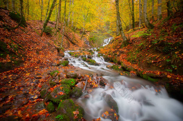 用木制码头反映秋季森林景观- -土耳其波卢叶迪戈勒公园秋季景观