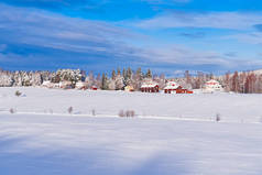 北欧冬季风景。雪地上覆盖着霜冻树的全景。神奇的冬季森林自然景观与美丽的天空.