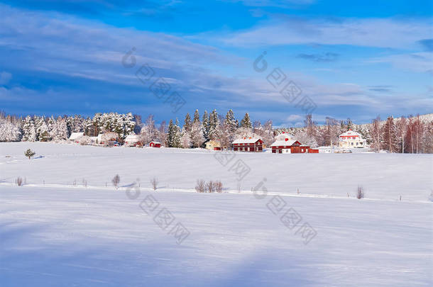 北欧冬季风景。雪地上覆盖着霜冻树的全景。神奇的冬季森林自然景观与美丽的天空.