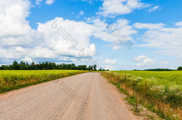 Banner.Country rural sandy road near fields,trees.Summer landscape taken at good cloudscape weather.