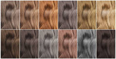Collage with multicolored hair samples, banner design. Color palette