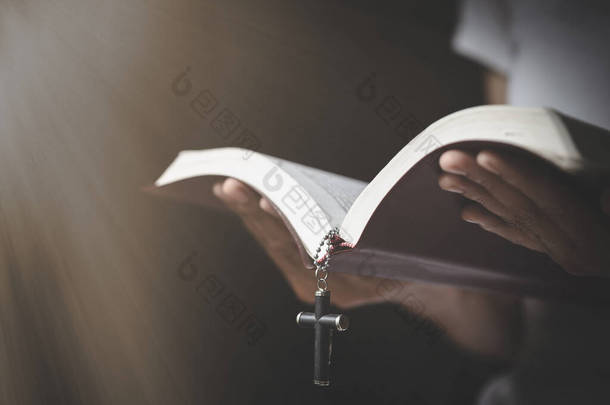 A woman holds Bible in his hands and studies the word of God.  Searching for truth in scriptures. pr