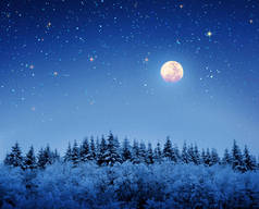 冬季森林，冰雪覆盖着树木、星空和满月.