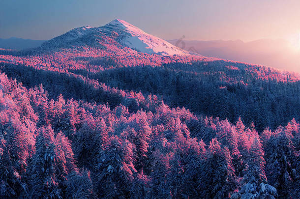 美丽的雪山峰和冬天的云杉森林在黎明3D艺术作品壮观的自然背景。洛基林地闪烁着晨光的照片场景壁纸。美丽的风景