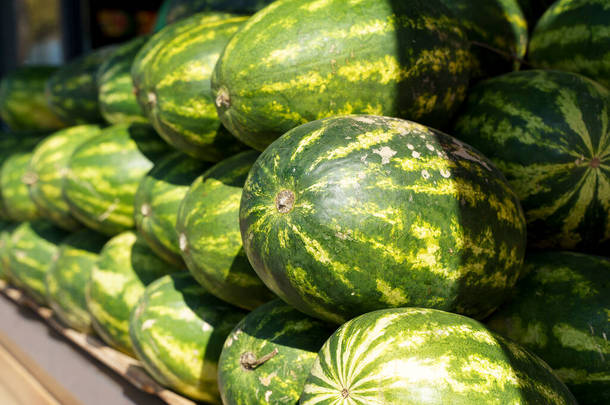 市场上的西瓜。一个生态农业市场的柜台上有成熟的绿色新鲜西瓜。高质量的照片